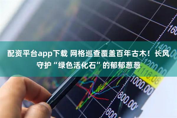 配资平台app下载 网格巡查覆盖百年古木！长风守护“绿色活化石”的郁郁葱葱