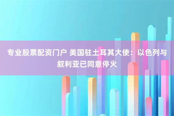 专业股票配资门户 美国驻土耳其大使：以色列与叙利亚已同意停火