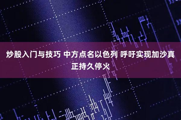 炒股入门与技巧 中方点名以色列 呼吁实现加沙真正持久停火