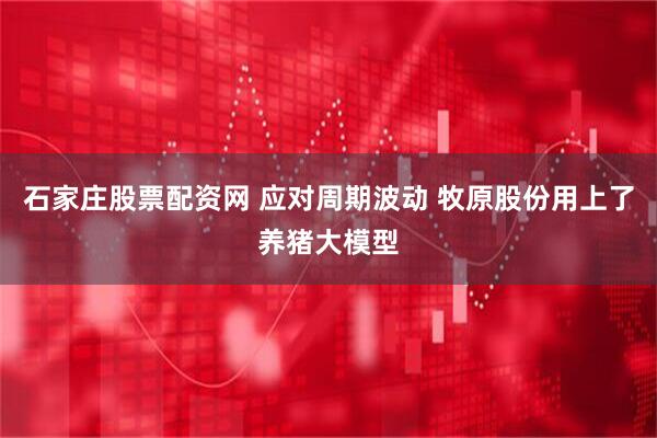 石家庄股票配资网 应对周期波动 牧原股份用上了养猪大模型