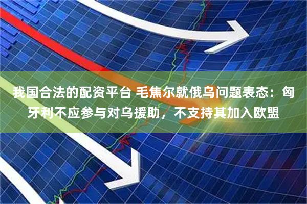 我国合法的配资平台 毛焦尔就俄乌问题表态：匈牙利不应参与对乌援助，不支持其加入欧盟